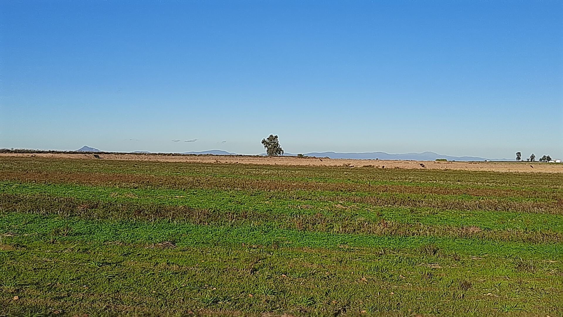 RUTA ALONSO DE OJEDA