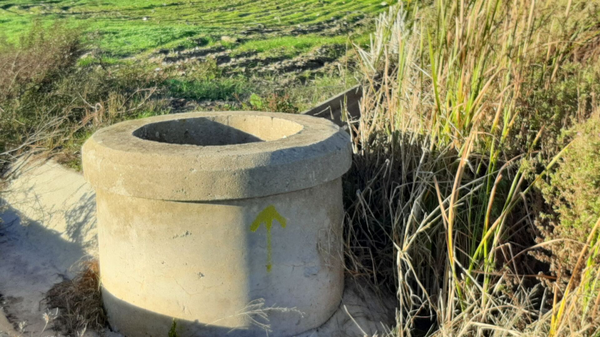 Tierras de cultivo en torno a Valdehornillos